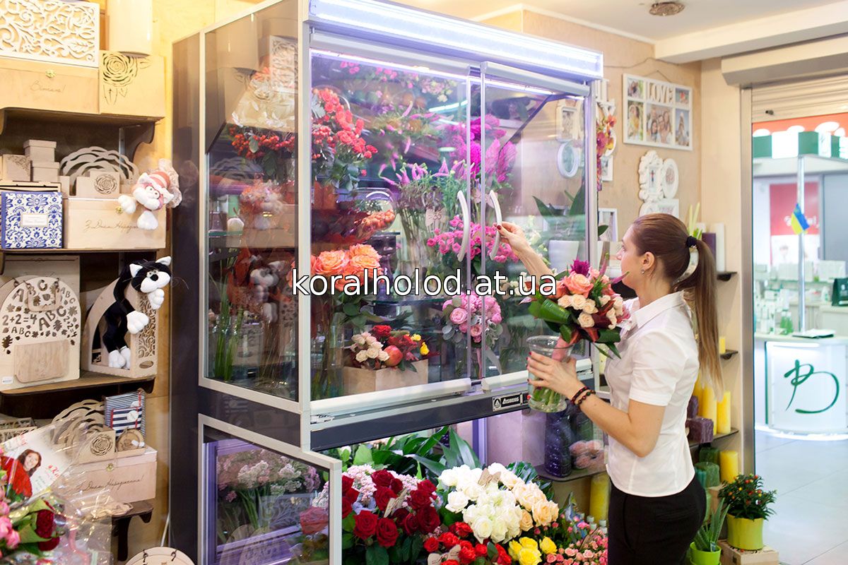 Температура в цветочном холодильнике. Холодильник для цветов. Холодильная витрина для цветов. Холодильник в цветочном магазине. Холодильник с цветами.